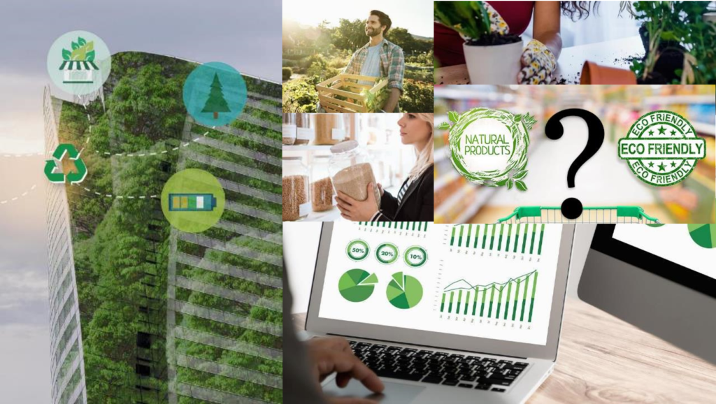 sustainability consumer insights