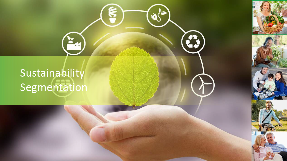 sustainability-insights-market-segments